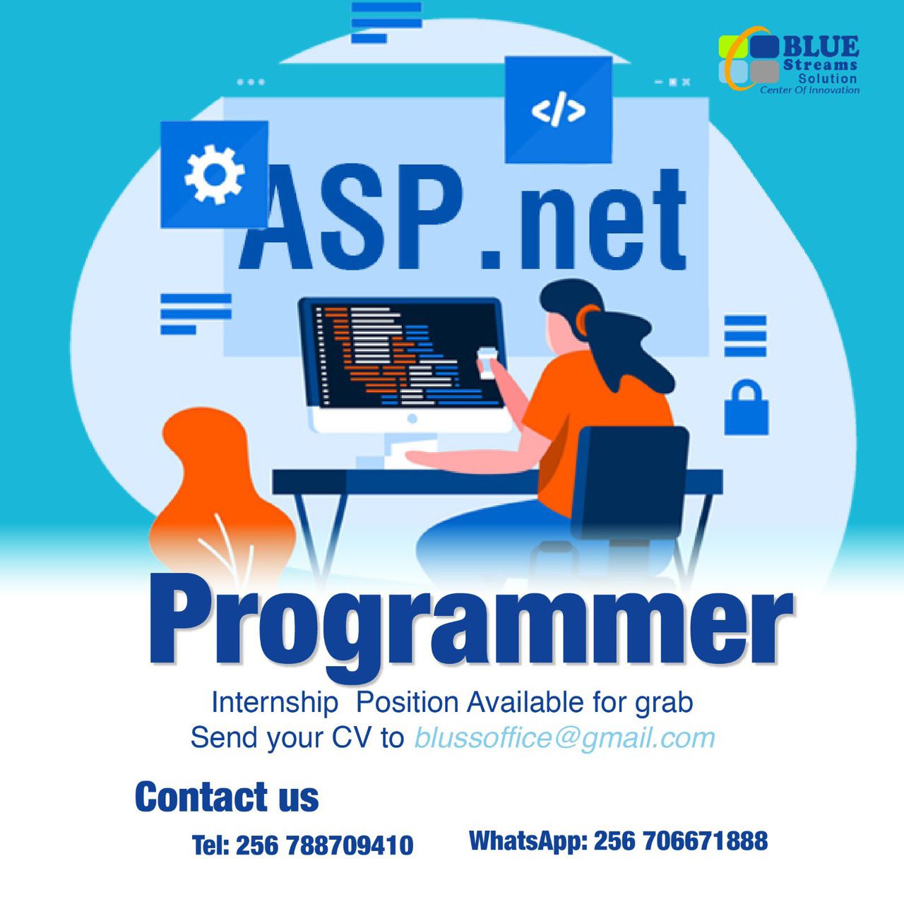 Programmer Internship job at Blue Streams